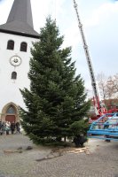 Weihnachtsbaum in Hüsten aufgestellt